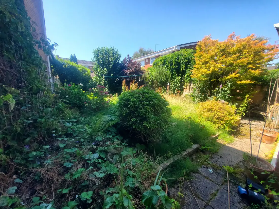 Overgrown back garden in Bebington before the garden tidy-up