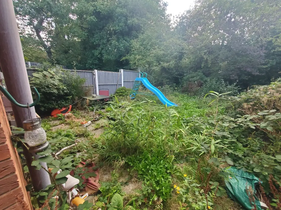 Overgrown back garden with long grass before a tidy-up