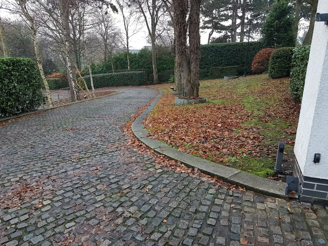 Cobbled drive covered in fallen leaves